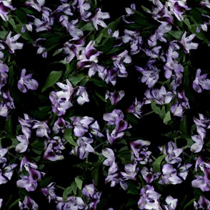 Soft Lily (Purple / Green / Black)