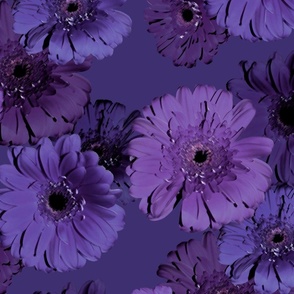 Deep Violet Floral