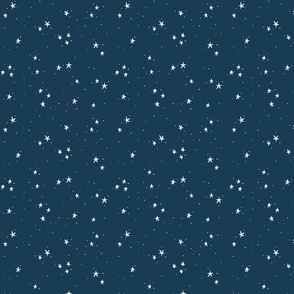 Starry Night // Small