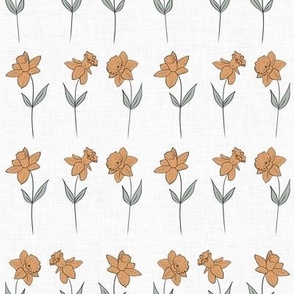 Daffodils (white)