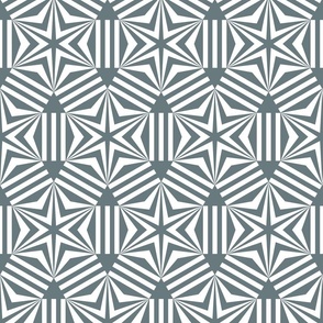 Slate gray Nordic Star mosaic