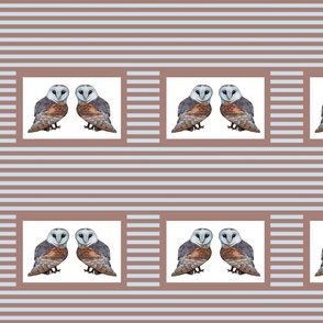The Owl Collection Barn Owl Tile