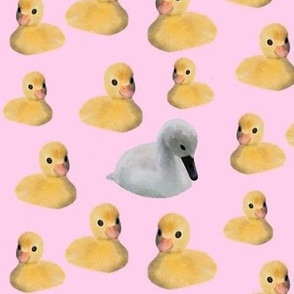 Ugly duckling on pink