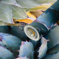 Agave Photo Design