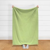 spring gingham green - 0.5in