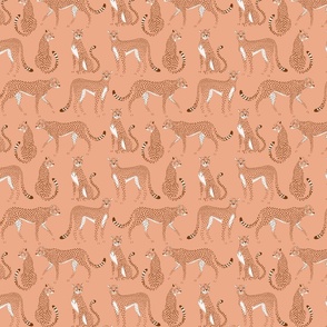 Wild Cheetahs in Light Coral Pink Small