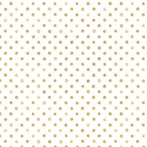Gold Dots // Haley Floral coordinate