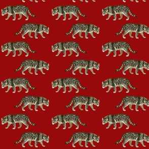 Leopards on Red