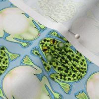 Frog Checkers, Cat Toys & Bookmarks