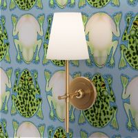 Frog Pillow Kit