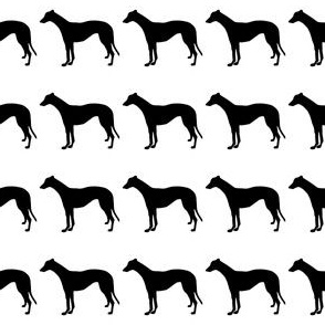Greyhound 1.5 Inch Martingale Black on White