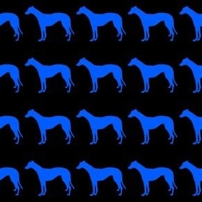 Greyhound 1.5 Inch Martingale Cobalt Blue on Black