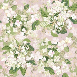 Soft and Ethereal Hydrangeas