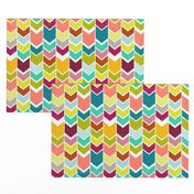 Mod Multicolor Chevron