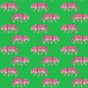 Pink Leopards on Green