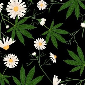 Cannabis and chamomile