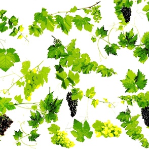 raisin et feuilles de vigne sur fond blanc