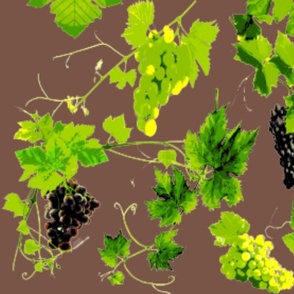 raisin et feuilles de vigne sur fond châtaigne