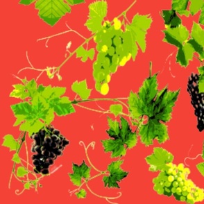 raisin et feuilles de vigne sur fond rouge