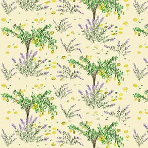 Lavender and the lemon tree