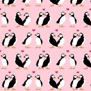 Valentine Puffins