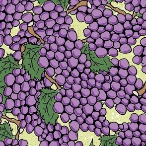 Wine Grapes ©Julee Wood