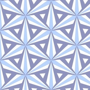 Blue and White Triangular Geometric Pattern