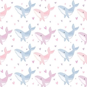 Pastel Whales Adore