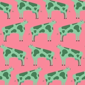 Cows pink