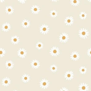 Medium // Sketchy Daisies White Daisy Flowers