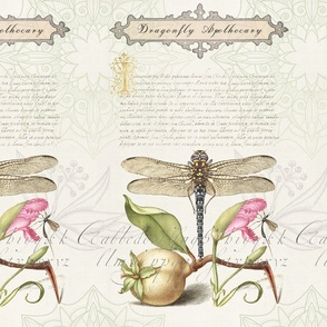 DRAGONFLY APOTHECARY