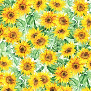 Watercolor Field of Sunflowers