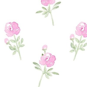 Medium Simple Pink Roses on white