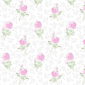Small Simple Pink Roses and Pale Gray Leaves on White