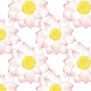 Lotus pattern white