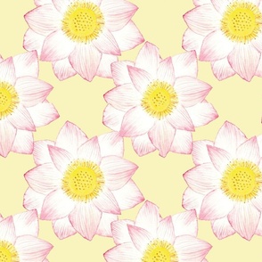 Lotus flower pattern yellow