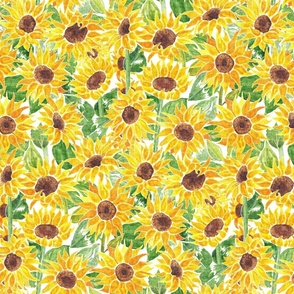 Sunflowers on Canvas 