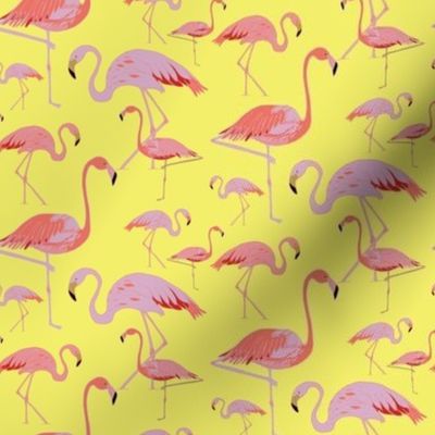 Flamingos Yellow