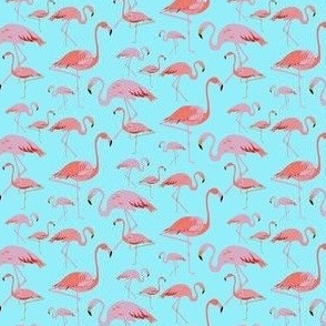 Small Flamingos Blue