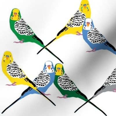 Parakeets Looking at You - Multicolor