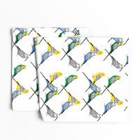 Parakeets Looking at You - Multicolor