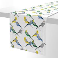 Parakeets Looking at You - Multicolor