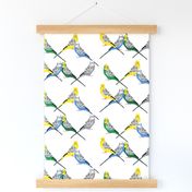 Parakeets Looking at You - Multicolor