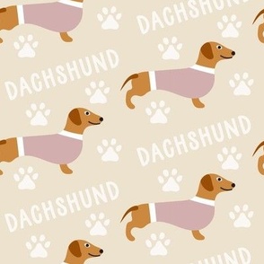 Cute pink dog dachshund text and paws