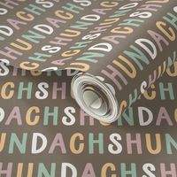 Dachshund colourful text letters