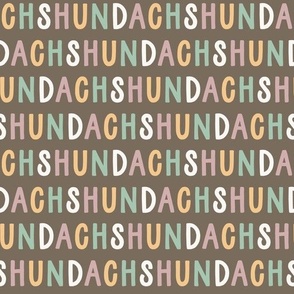 Dachshund colourful text letters