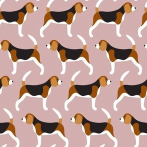 Beagle dogs in a row