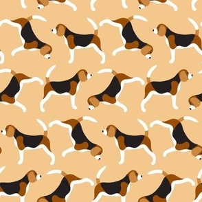 Cute beagle dogs 
