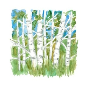aspen trees