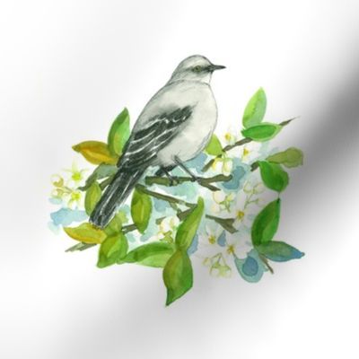  mockingbird orange blossom 